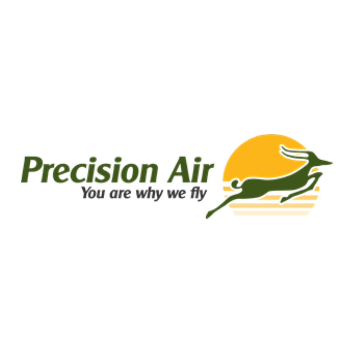 Precision Air