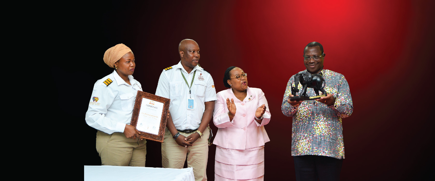 Safari Guide Excellence