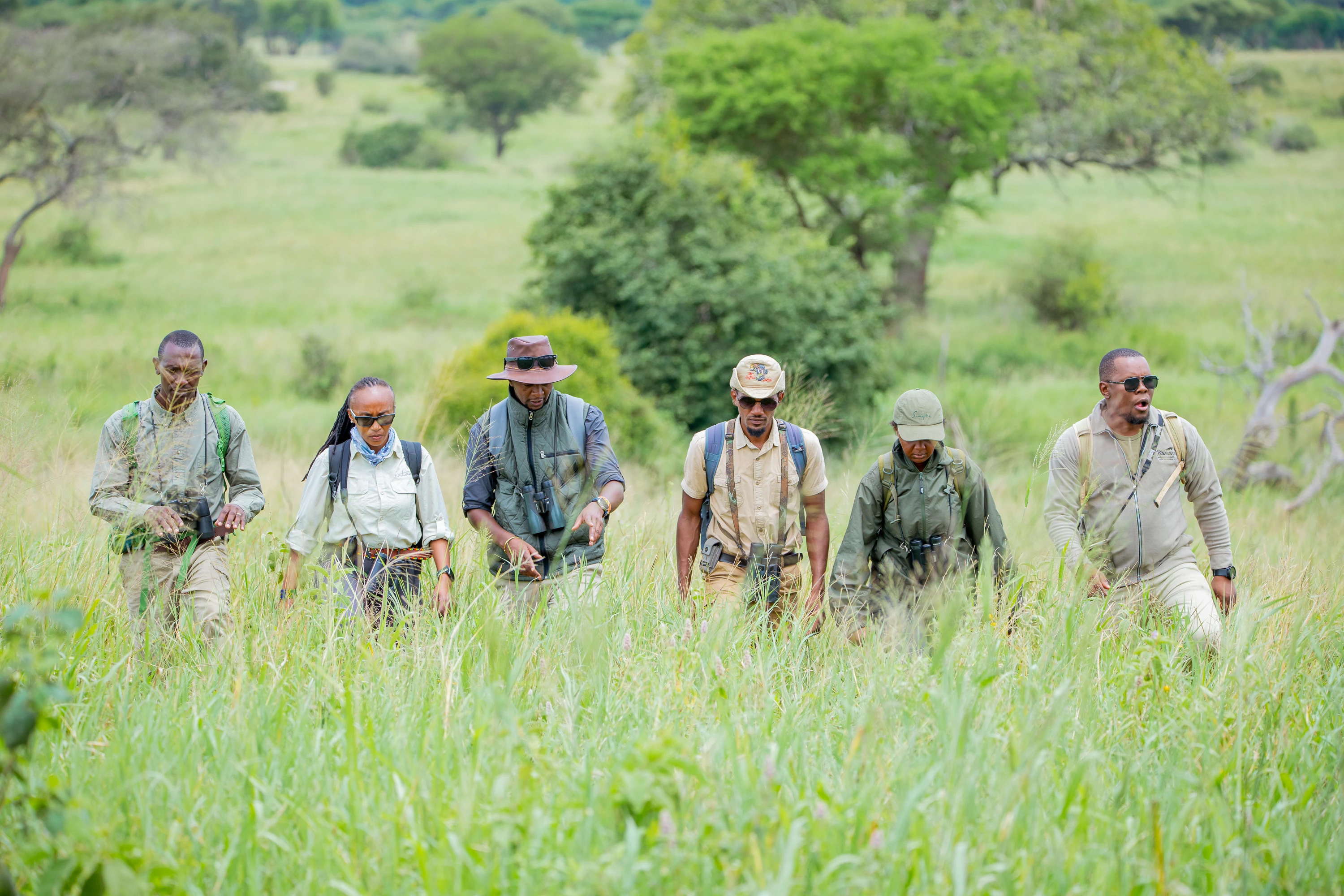 Professional Safari Guides